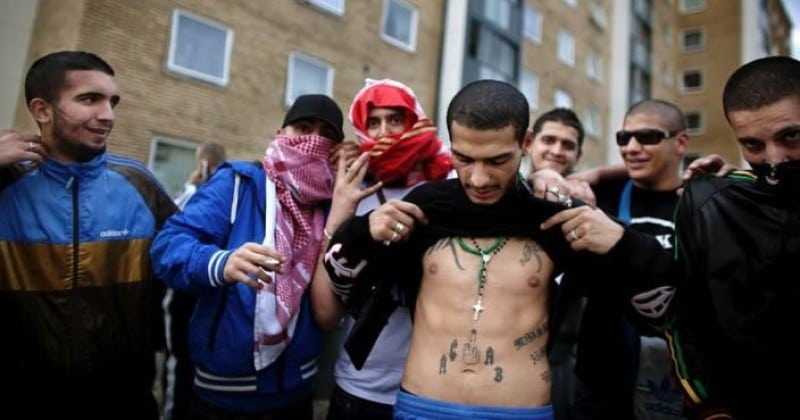 Swedish Academic Rejects Alleged Economic Benefits of Mass Migration