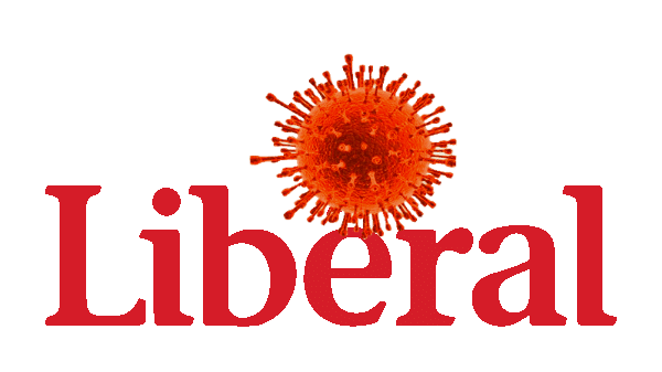 Liberals to spend $100B to jolt post-pandemic economy after posting record $381B deficit