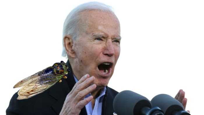 Locust plague promises welcome relief from Biden administration