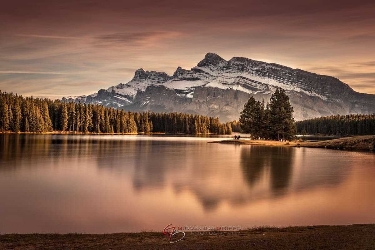 Parks Canada calls creation of national parks a ‘colonial injustice’ in internal report