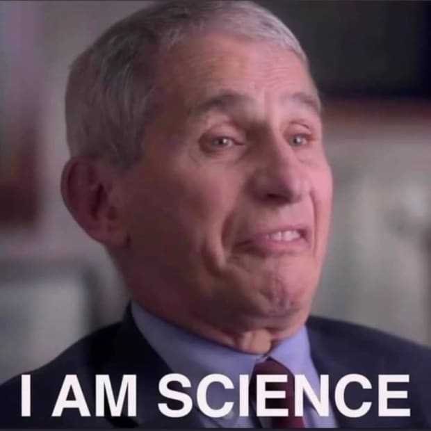 Tulsi Gabbard Drops Bombshell Documents on Her Way Out, Exposing Fauci’s COVID Cover-Up