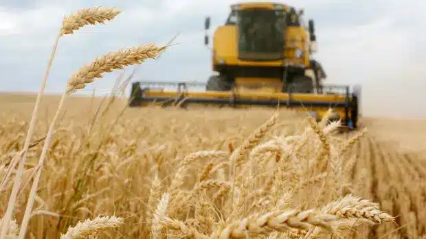 China’s plan to dominate global food supply chains