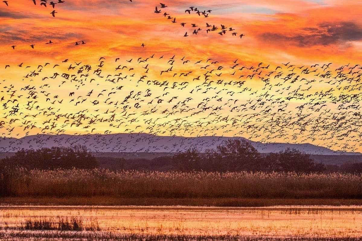 Evening Photos: US Edition