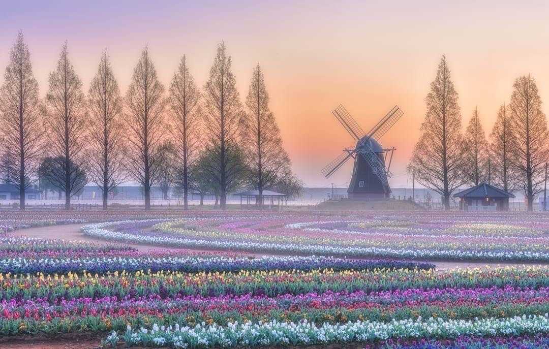 Evening Photos: East Asian Edition