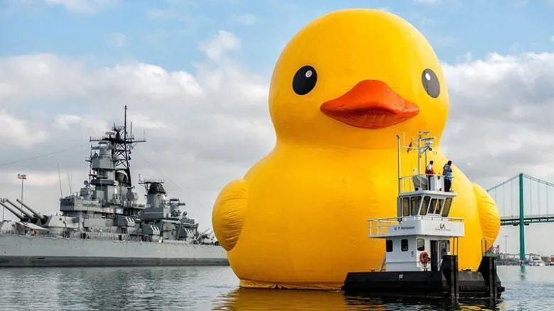 New Royal Canadian Navy boss says service must grow by up to 40%
