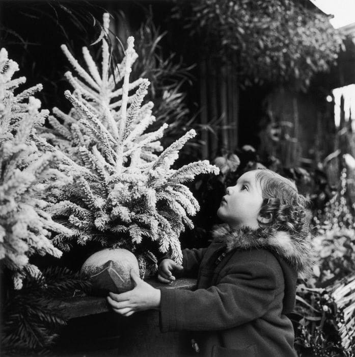 Reader Fave Christmas Carols … Day 8!
