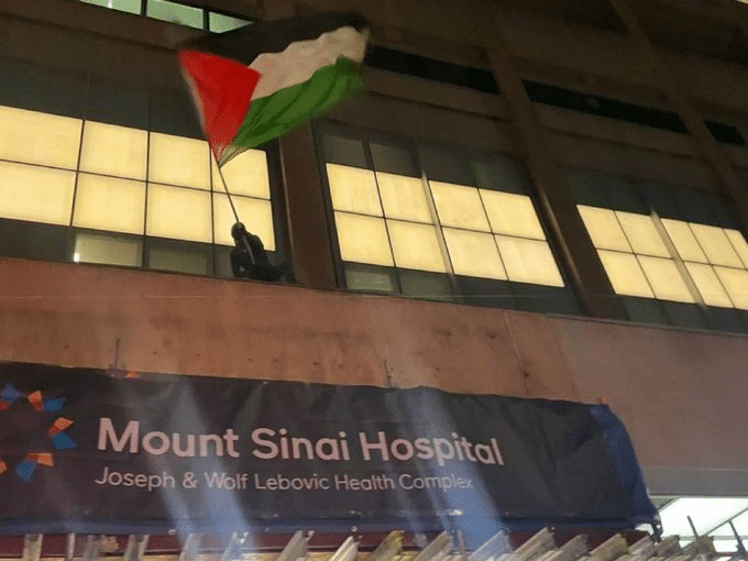 Terry Newman: The anti-Zionist doctor who didn’t know what she’d done wrong