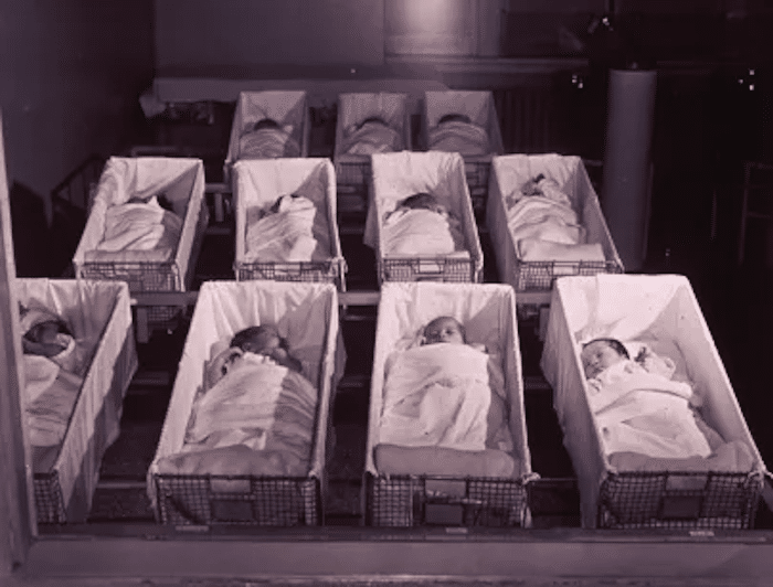 MROZEK: Canada’s fertile ground for population collapse