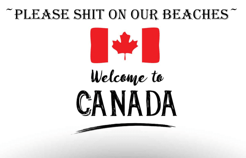 Please shit on our beaches … but please do not throw feces at Liberal Party canvassers next election