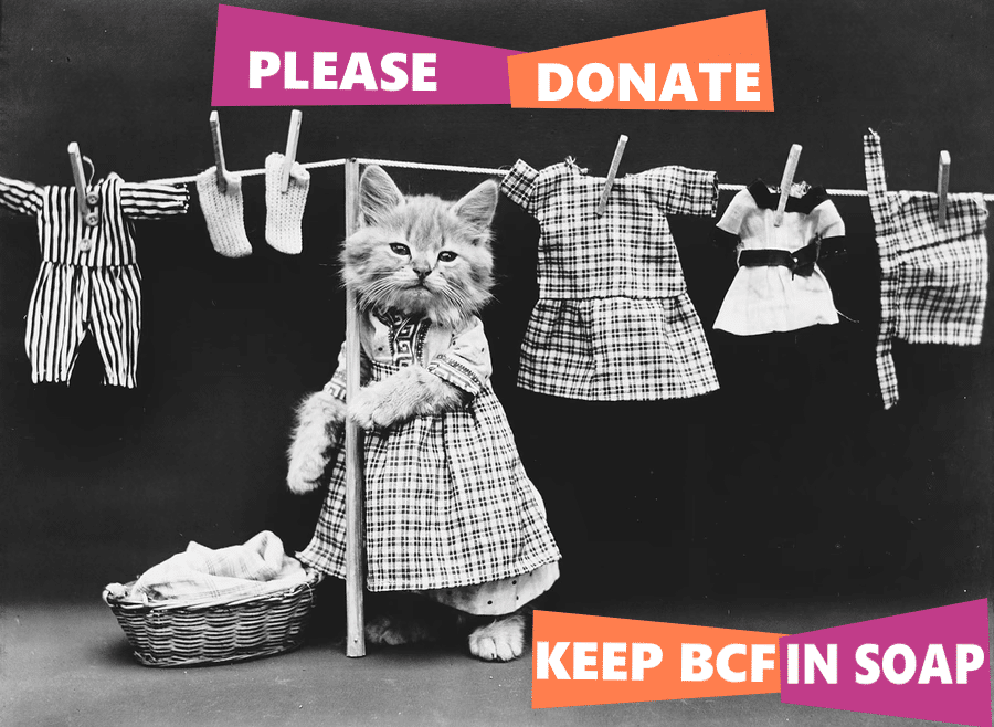 Welcome To BCF’s Labour Day Fundraiser!