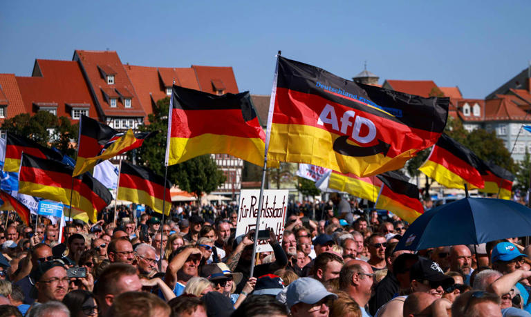 ‘Stopping AfD’: German Left-Wing Celebrities and NGOs Team Up Against Weidel’s Party