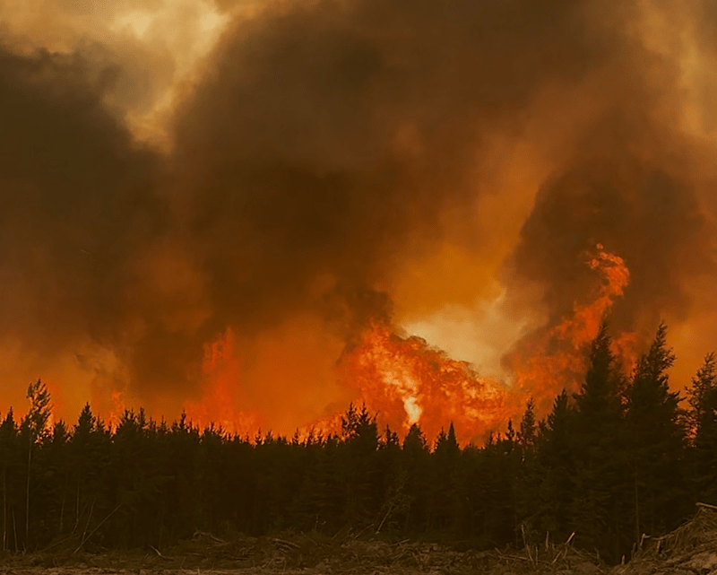 STIRLING: Pollsters and climate activists love the flames of wildfires to fan their apocalyptic fantasies