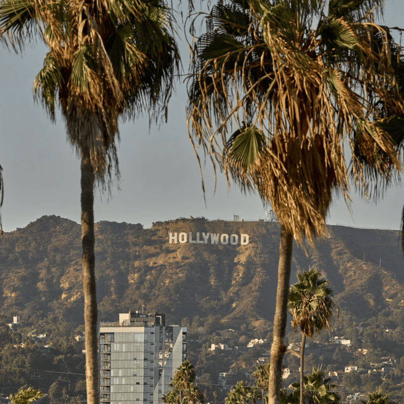 Hollywoke’s Assault on Beauty