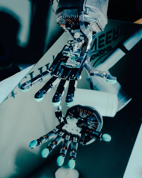 The big immigration lie: France urged to embrace robotics over immigration