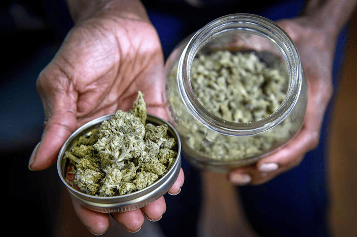 N.S. seeing an increase in teens with long-lasting psychosis due to high-potency cannabis