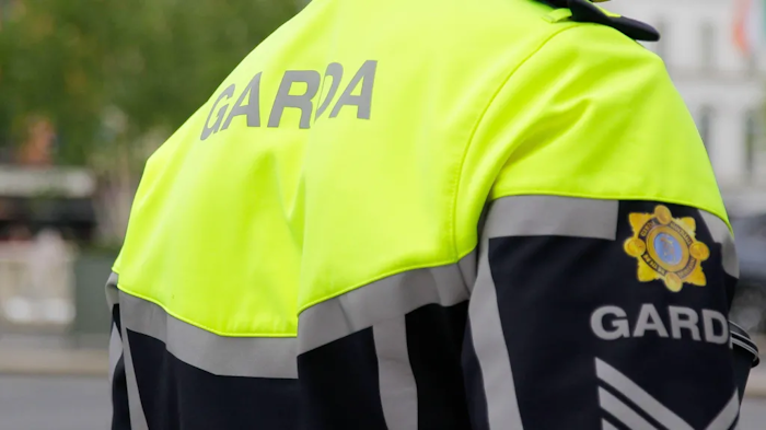 Most Suspects in 2026 Killings of Irish Women Were Foreign-Born