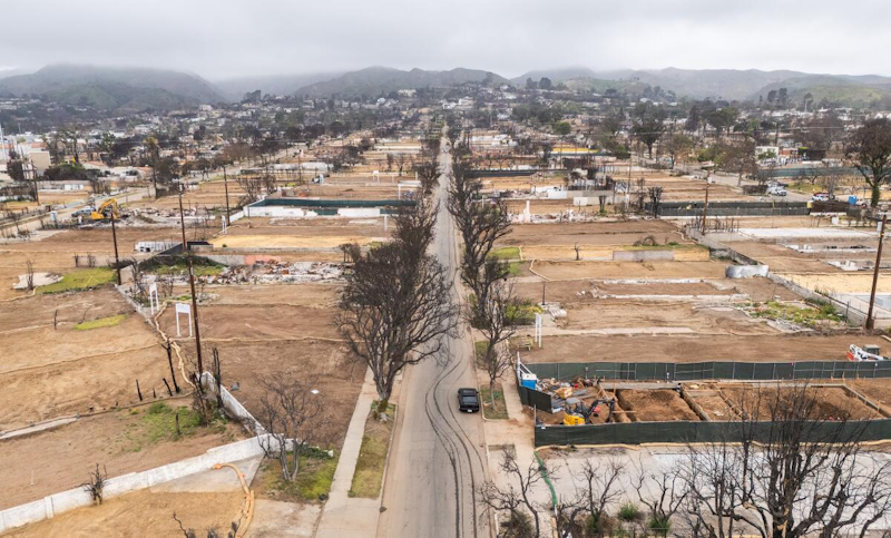 Why Did Torched Ghost Homes of Palisades and Altadena Just Miraculously Reappear on Google Maps?