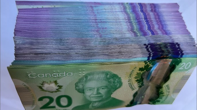 Canadian provinces pay their politicians twice what American states do, study finds