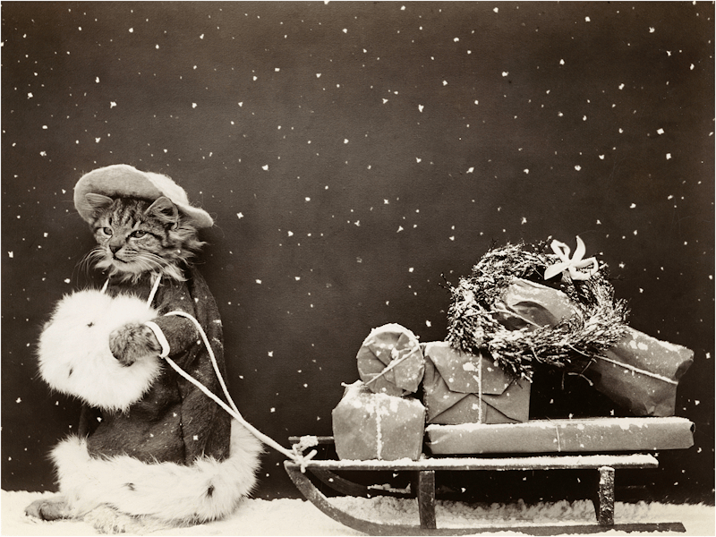 Reader Fave Christmas Carols … Day 2