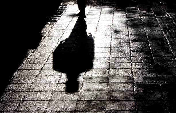 Amy Hamm: Debra Soh’s Sextinction shows us how lonely our future might be