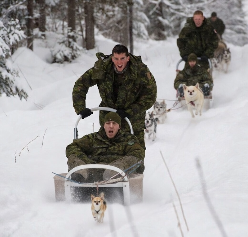 On patrol with Canadian forces securing the Arctic as global threats grow