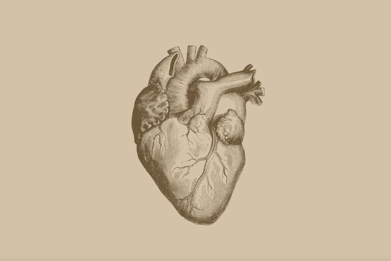 My Little Coronary