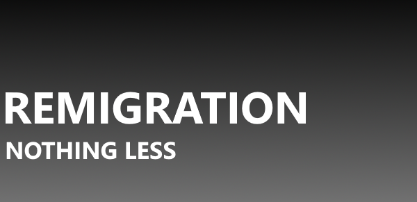 America Needs Mass Remigration