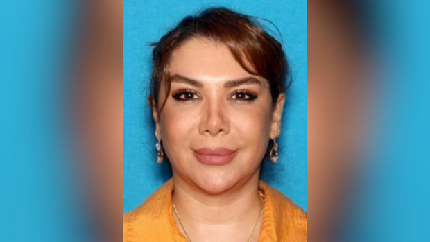 Iranian woman arrested in US for allegedly trafficking arms to Sudan