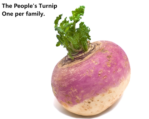 Public grocery stores are having a moment. Can they really make food more affordable?