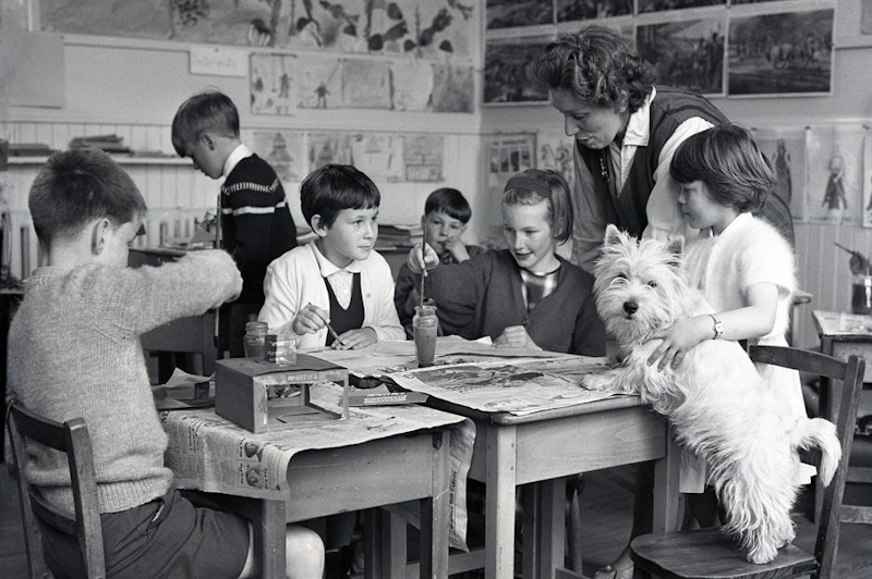 White British Children Set To Become Minority in Schools