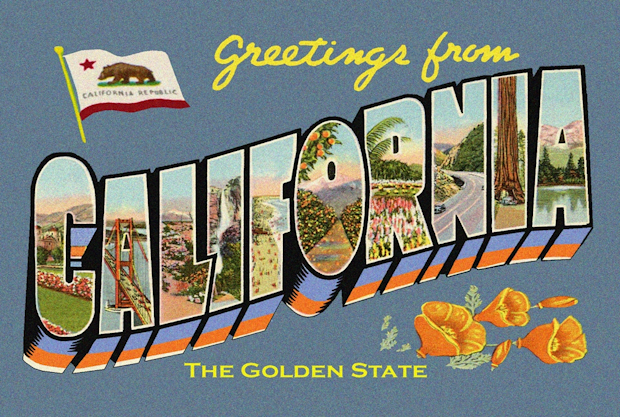West Coast, Messed Coast™ — A Medicaid Scam You Never Saw Coming Has California Circling the… Drums