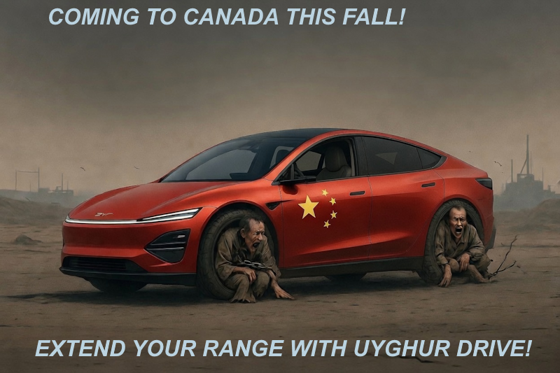 Anand won’t say if Chinese EVs will be banned under Canada’s forced labour law