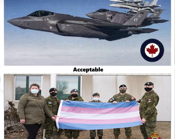 DND official rebuked for custom-made business card featuring F-35s