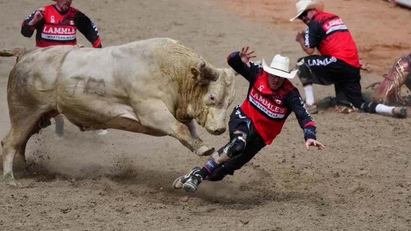 At Canada’s biggest rodeo, the starting gun is fired in the fight over Alberta separation