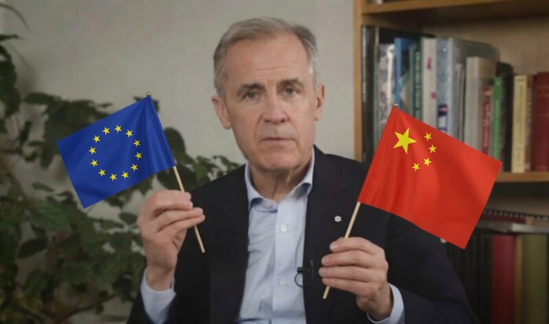 German car industry warns of job collapse unless ‘bold decisions’ made to address Chinese threat