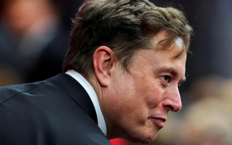 Musk takes ‘crusade’ to Europe with Armie Hammer film
