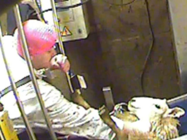 CHARLEBOIS: Have you eaten halal meat without knowing it?