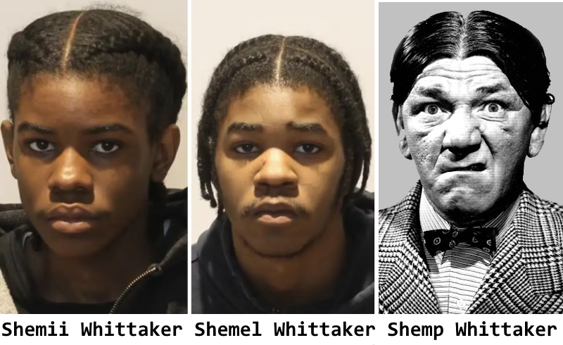Police identify brothers wanted for first-degree murder