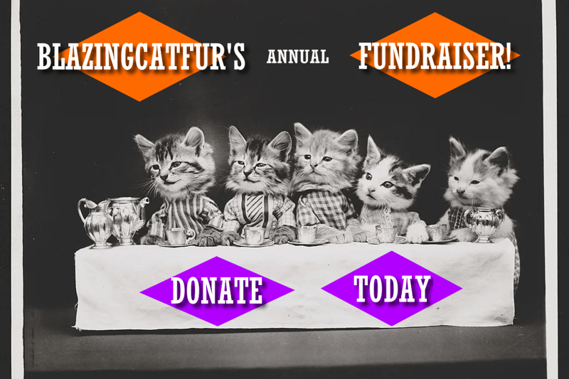 Welcome To BCF’s Labour Day Fundraiser!