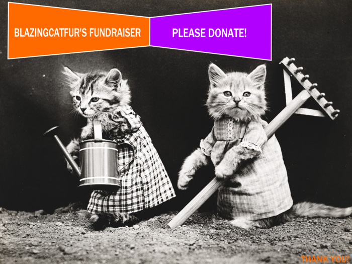 Welcome To BCF’s Labour Day Fundraiser!