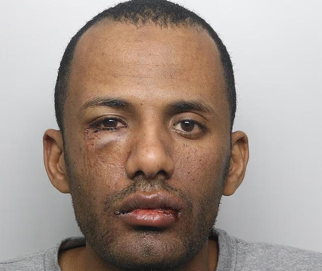 Sudanese asylum seeker who arrived in UK after claim was rejected in France lay in wait on high street for lone woman before slashing her 30 times with a broken bottle