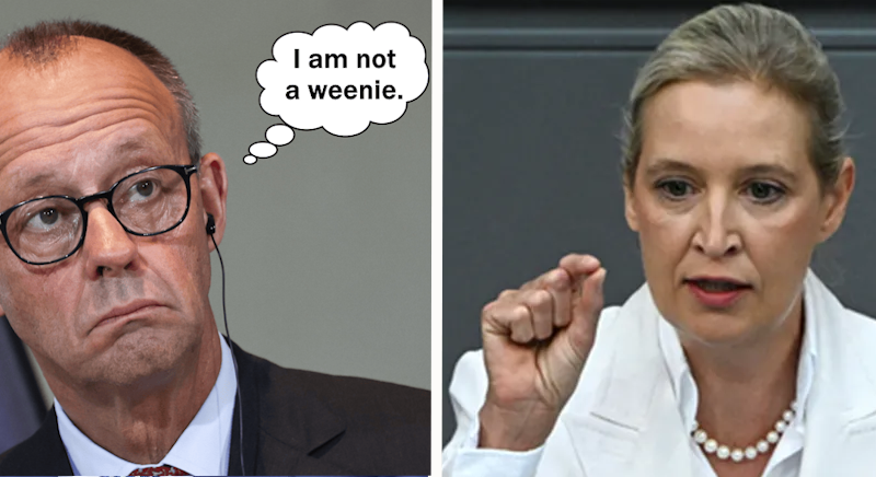 Germany’s Merz attacks AfD in stormy debate after far-right election win