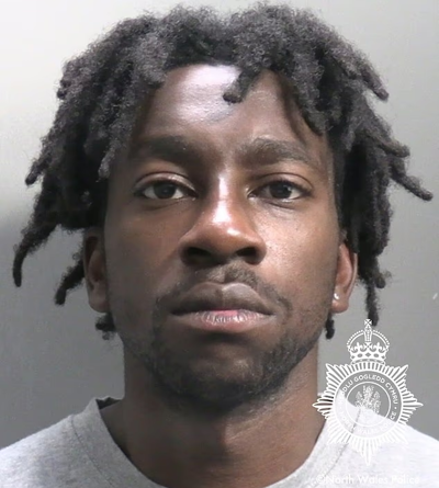 ‘I think you’ve had enough now’: Teenage girl reveals disturbing words of Nigerian migrant who raped her in the woods before dodging deportation over ‘human rights’