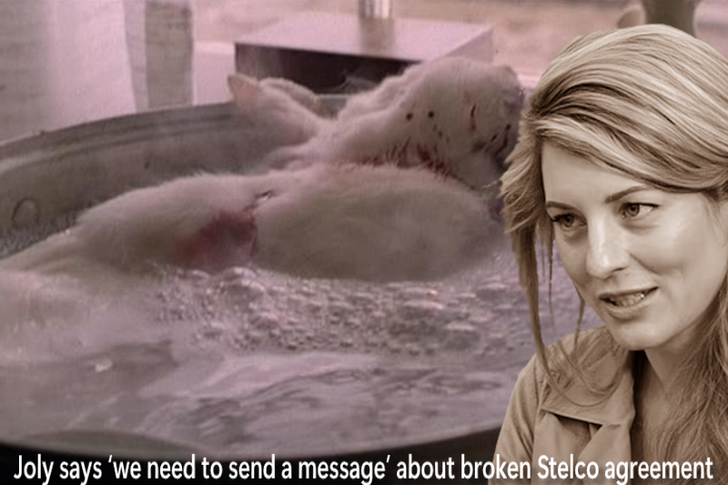 ‘That doesn’t work’: Joly says ‘we need to send a message’ about broken Stelco agreement