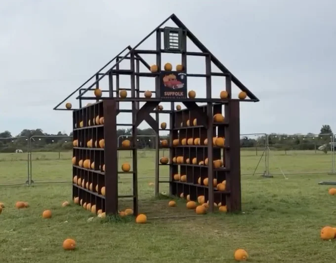 Families walk out on ‘UK’s most depressing pumpkin patch’