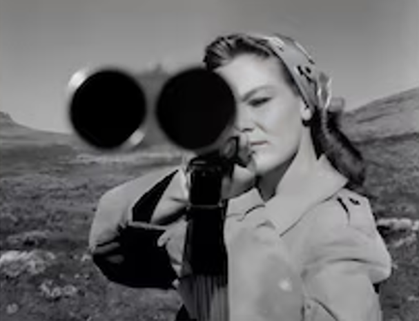 Woman Uses Shotgun to Defend Family From Multiple Attackers